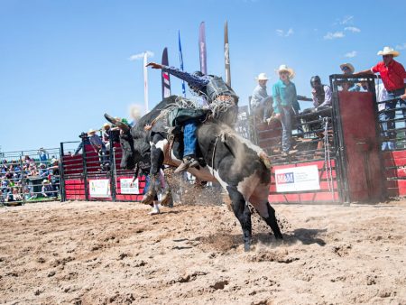 4 North American Legends Inducted into Sports Betting Hall of Fame