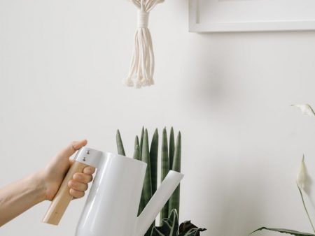 Anthony Spilotro: Untouchable Enforcer of Vegas Underworld