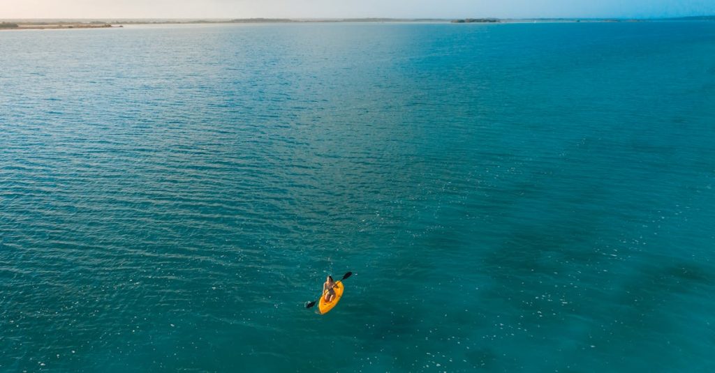 Featured image for Arizona Sports Betting License Application Fees Announced