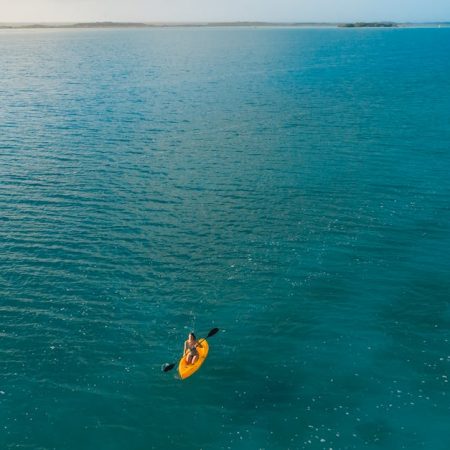 Arizona Sports Betting License Application Fees Announced