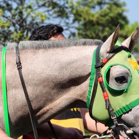 California Sports Betting Initiative Aims for 2022 Ballot Spot,