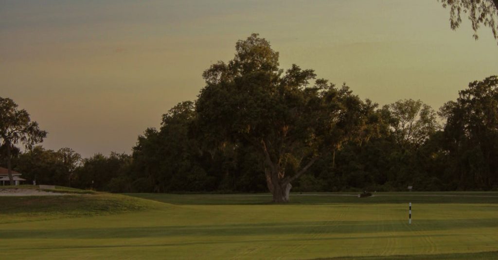 Featured image for Florida Sports Betting Delayed: No Launch Before November, Says Gaming Today