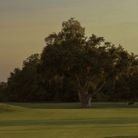 Florida Sports Betting Delayed: No Launch Before November, Says