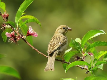 Jonathan Little Shares Expert Poker Strategies in Latest Gaming Today