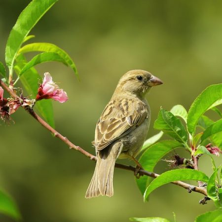 Jonathan Little Shares Expert Poker Strategies in Latest Gaming Today