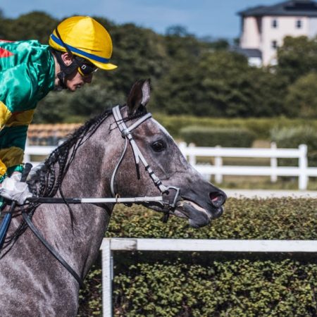 Maryland Sports Betting Review Commission Convenes