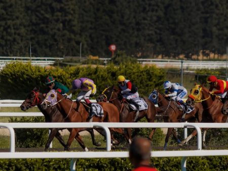 Massachusetts Moves Toward Sports Betting Legalization with New Horse