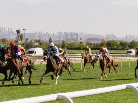 Missouri Sports Betting: Yearly Recap on Wins and Misses in Legislation