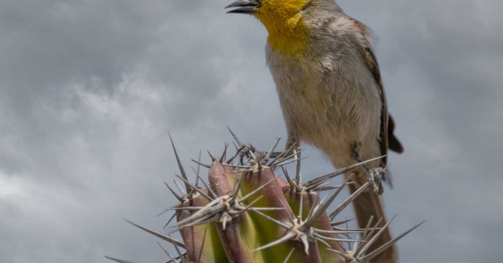 Featured image for Nevada Lottery Debate Heats Up: Why Its Time for Change - Gaming Today