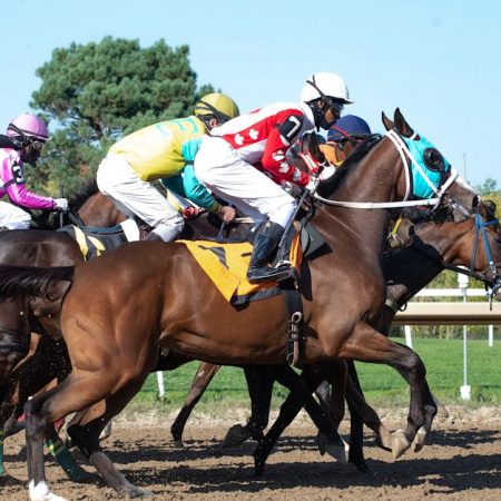 New Launch: Self-Serve Sports Betting Kiosks Revolutionize Gaming in