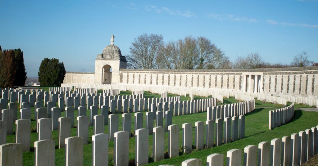 Featured image for Old Folks Cardinals Aim for World Series Glory in Final Run