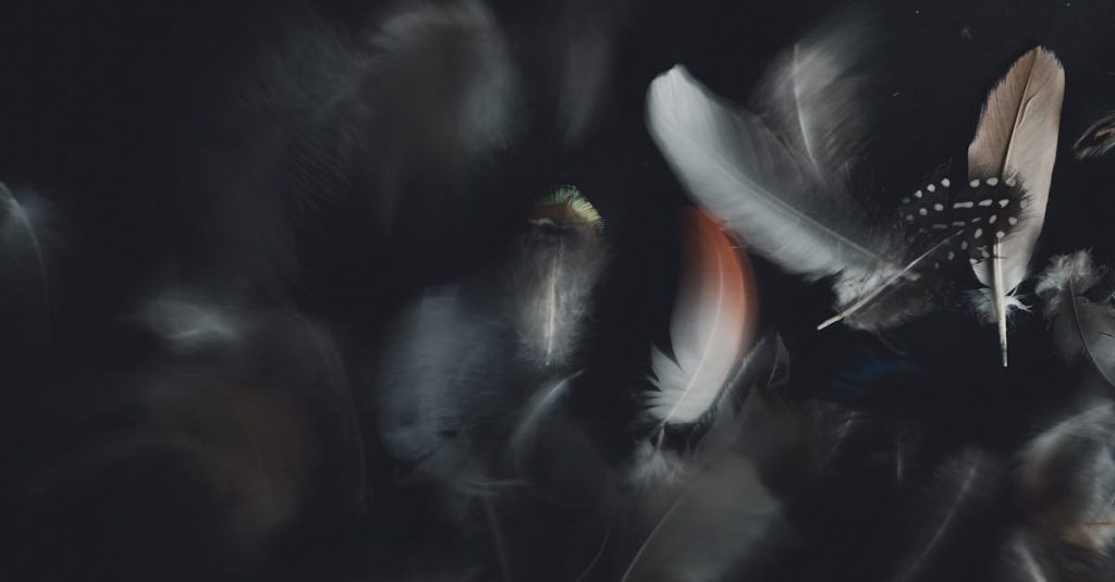 Featured image for Overlay vs. Value in Gaming: Maximizing Your Play Today