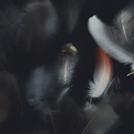 Overlay vs. Value in Gaming: Maximizing Your Play Today