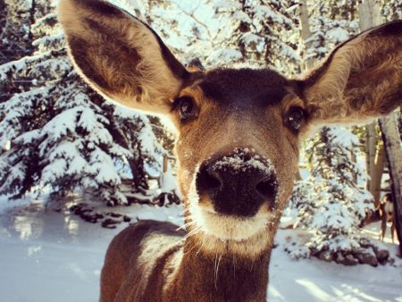 SuperBook Expands to Colorado: Latest Updates in Gaming Today