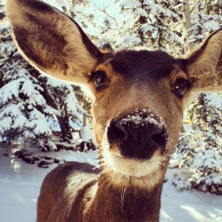 SuperBook Expands to Colorado: Latest Updates in Gaming Today